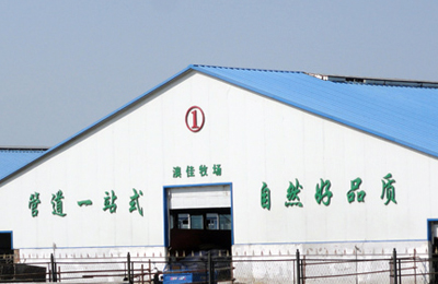 安達(dá)市奶牛養(yǎng)殖場